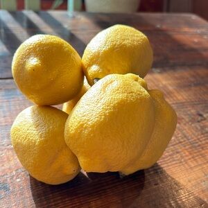 Realistic fake lemons